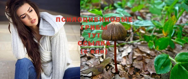 дмт Лихославль