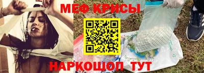 шишки Заволжье