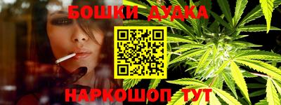шишки Заволжье