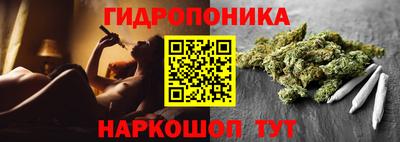 шишки Заволжье