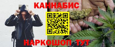 шишки Заволжье