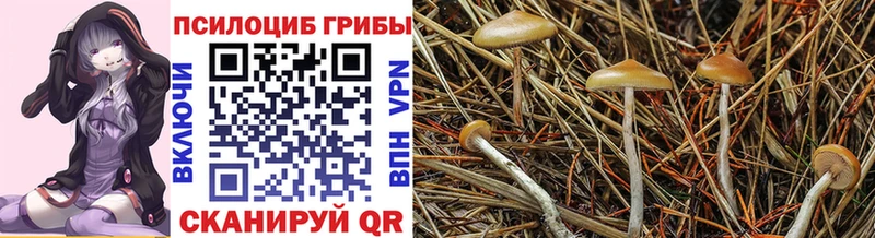Галлюциногенные грибы прущие грибы  Назрань 