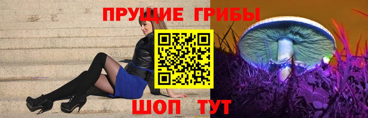 Галлюциногенные грибы Magic Shrooms Назрань